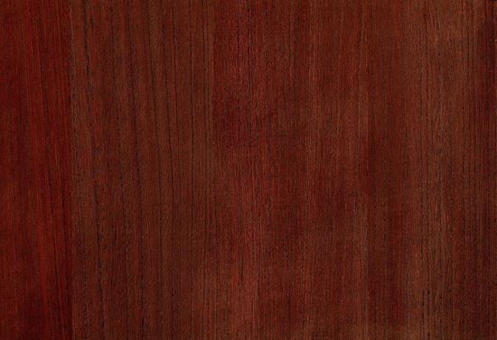 Picture of BIRCH WC-SPICE