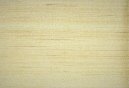 Picture of DAST WC-BEIGE