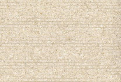 Picture of PIRAE WC-SHELL