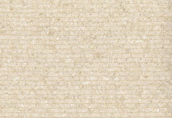 Picture of PIRAE WC-SHELL