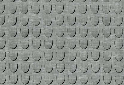 Picture of PAULISTA-OYSTER