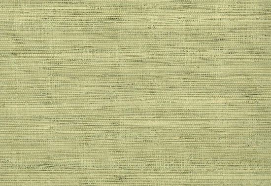 Picture of YORK WC-EDAMAME