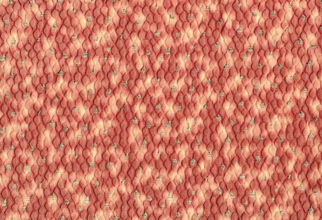 Picture of MANCHESTER-BLUSH