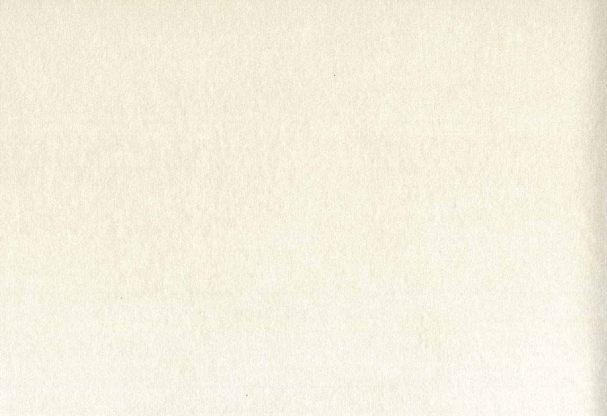 Picture of MONTREAL-DOVE