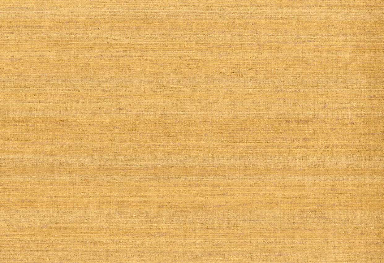 Picture of KOTA WC-CORN