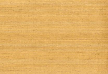 Picture of KOTA WC-CORN