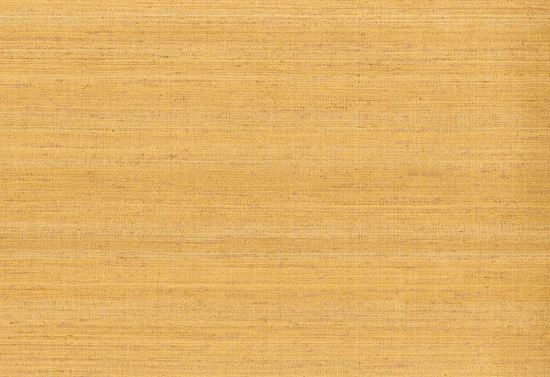 Picture of KOTA WC-CORN