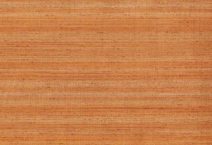 Picture of KOTA WC-DUNE