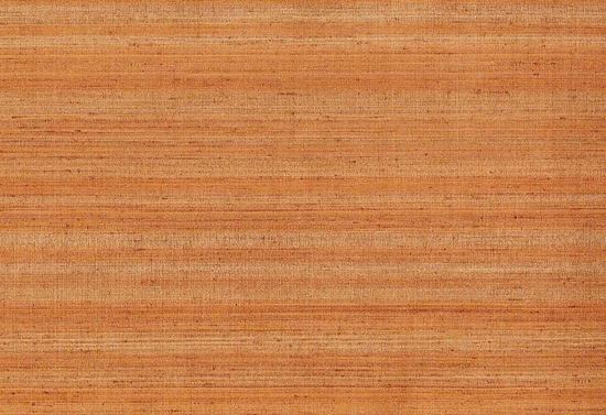 Picture of KOTA WC-DUNE