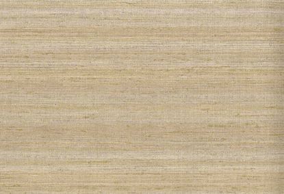 Picture of KOTA WC-FAWN