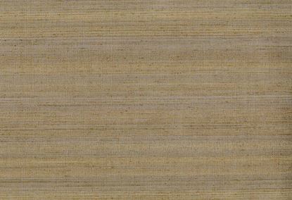 Picture of KOTA WC-TEAK