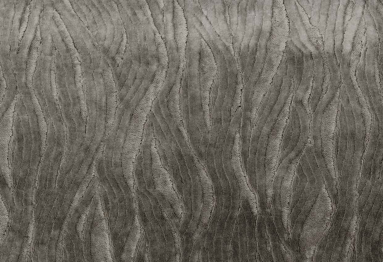 Picture of EWASO-CHINCHILLA