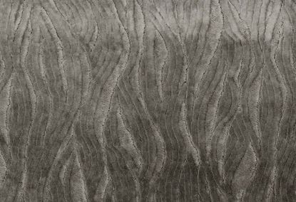 Picture of EWASO-CHINCHILLA