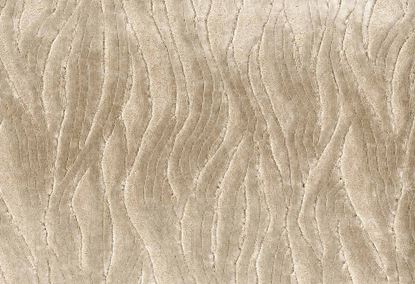 Picture of EWASO-OYSTER