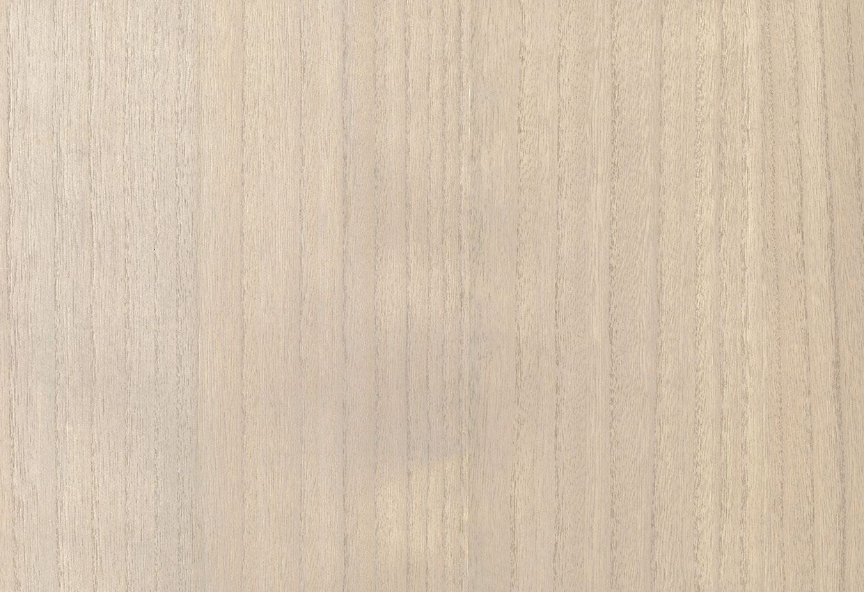 Picture of BIRCH WC-PUTTY