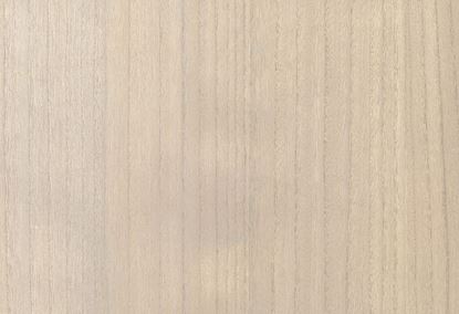 Picture of BIRCH WC-PUTTY