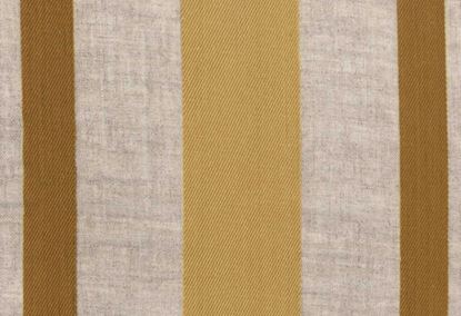 Picture of CARY-GOLD