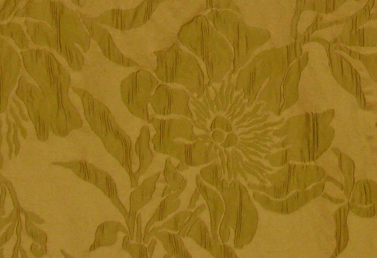 Picture of NANCY-OLIVE