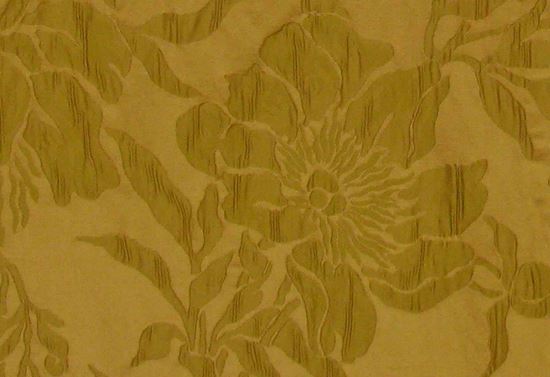 Picture of NANCY-OLIVE