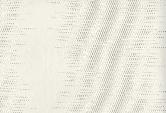 Picture of SKIVE-BLANCO