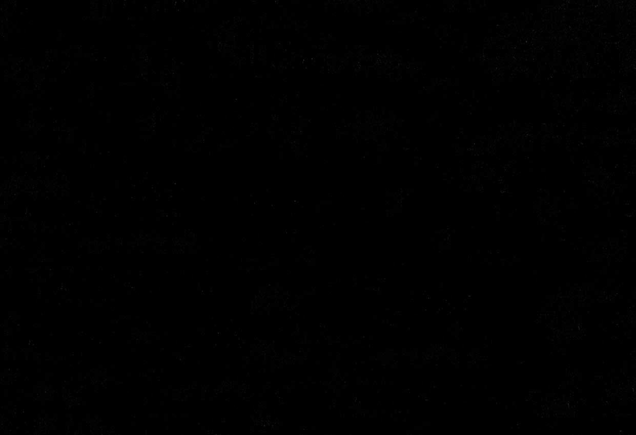 Picture of CLYDE-EBONY