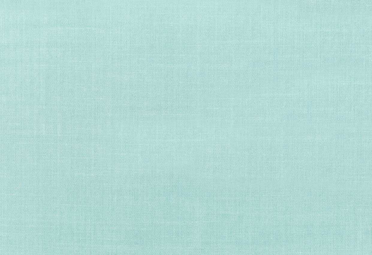 Picture of CLYDE-OASIS