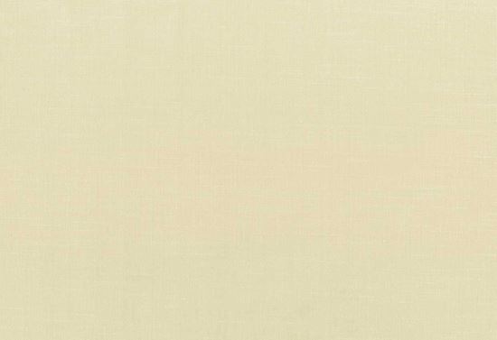 Picture of CLYDE-TAN