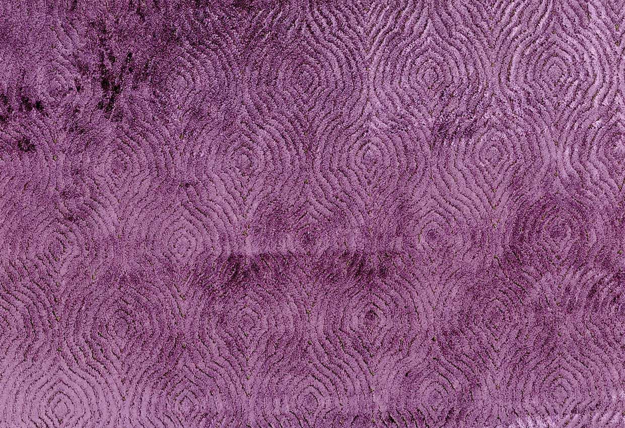 Picture of DOBSON-PLUM