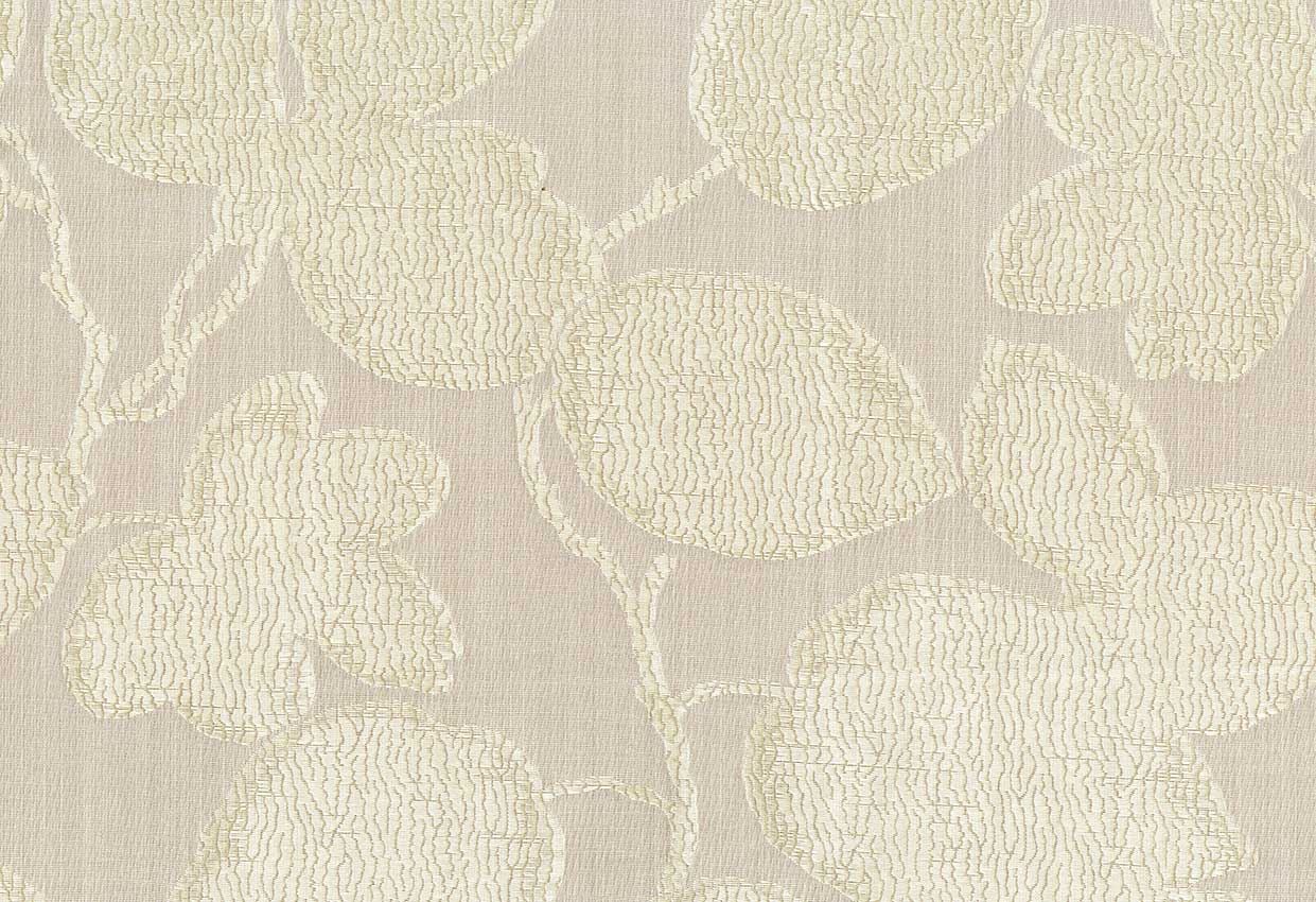 Picture of KAURI-BLUSH