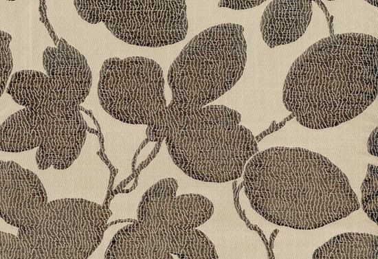 Picture of KAURI-COCOA