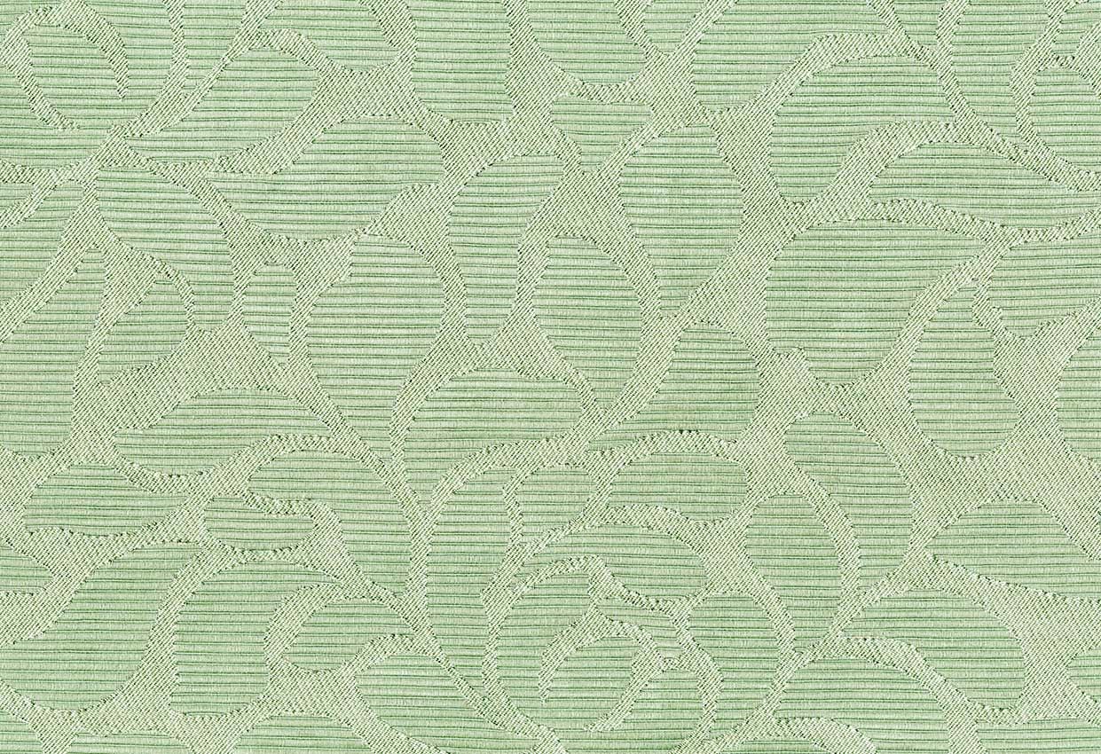 Picture of SANSON-SPA