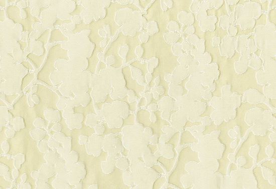 Picture of TAPU-CHAMPAGNE