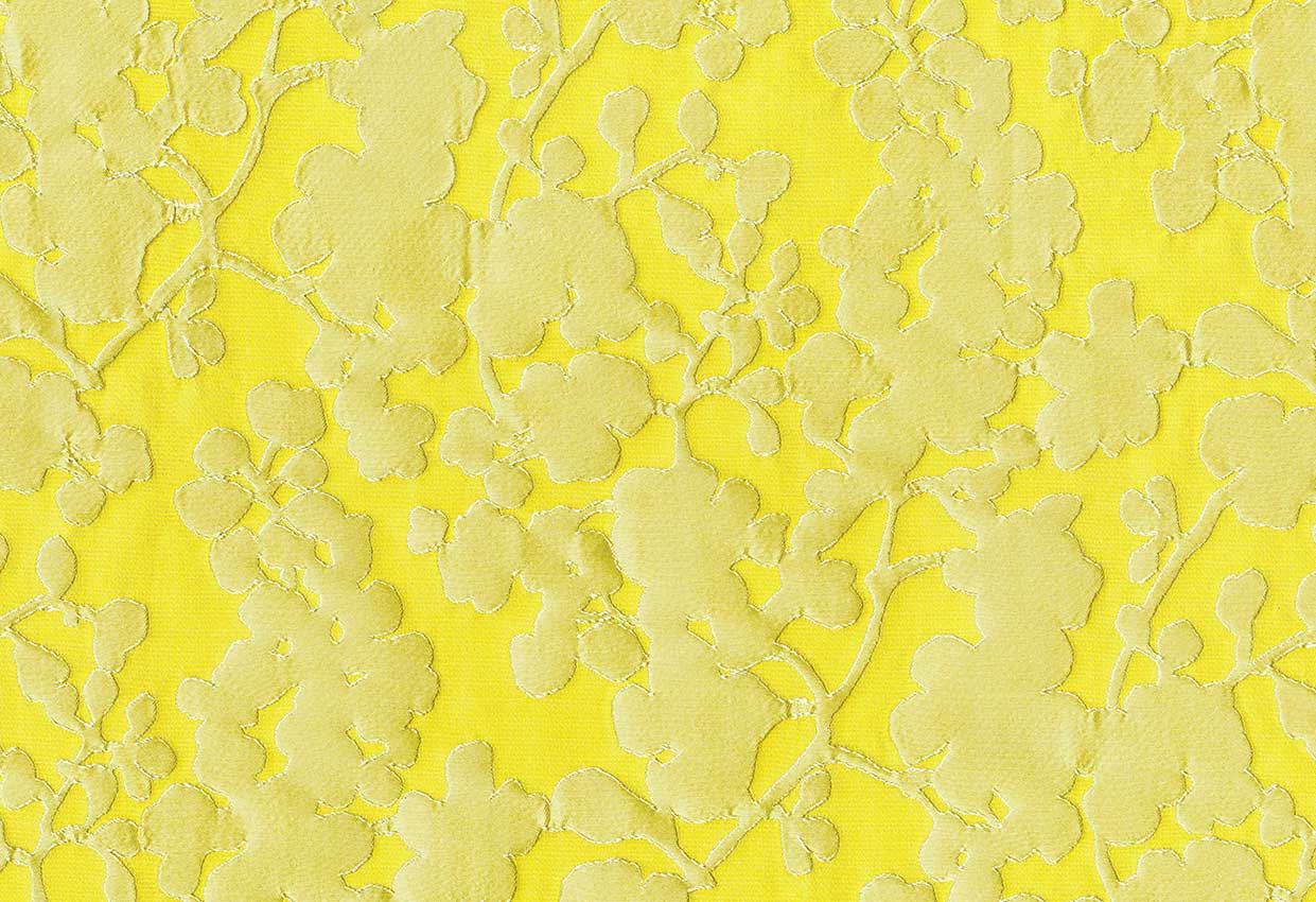 Picture of TAPU-OCHRE