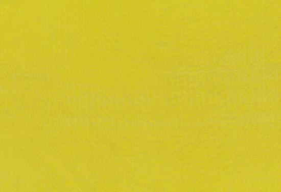 Picture of TEMUKA-CITRON