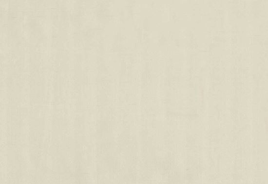 Picture of TEMUKA-ECRU