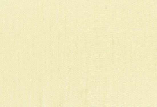 Picture of TEMUKA-EGGNOG