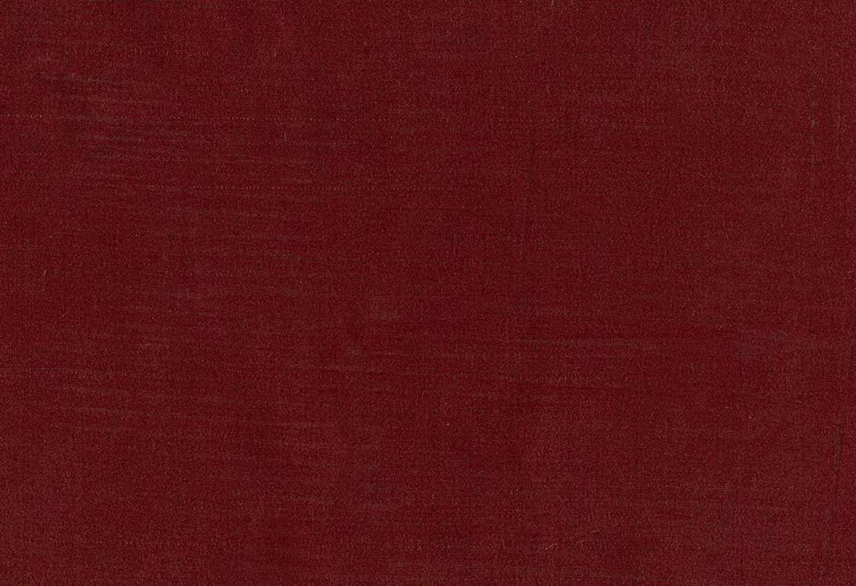 Picture of TEMUKA-EGGPLANT