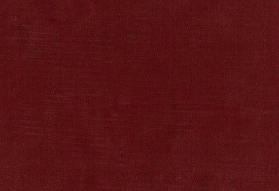 Picture of TEMUKA-EGGPLANT