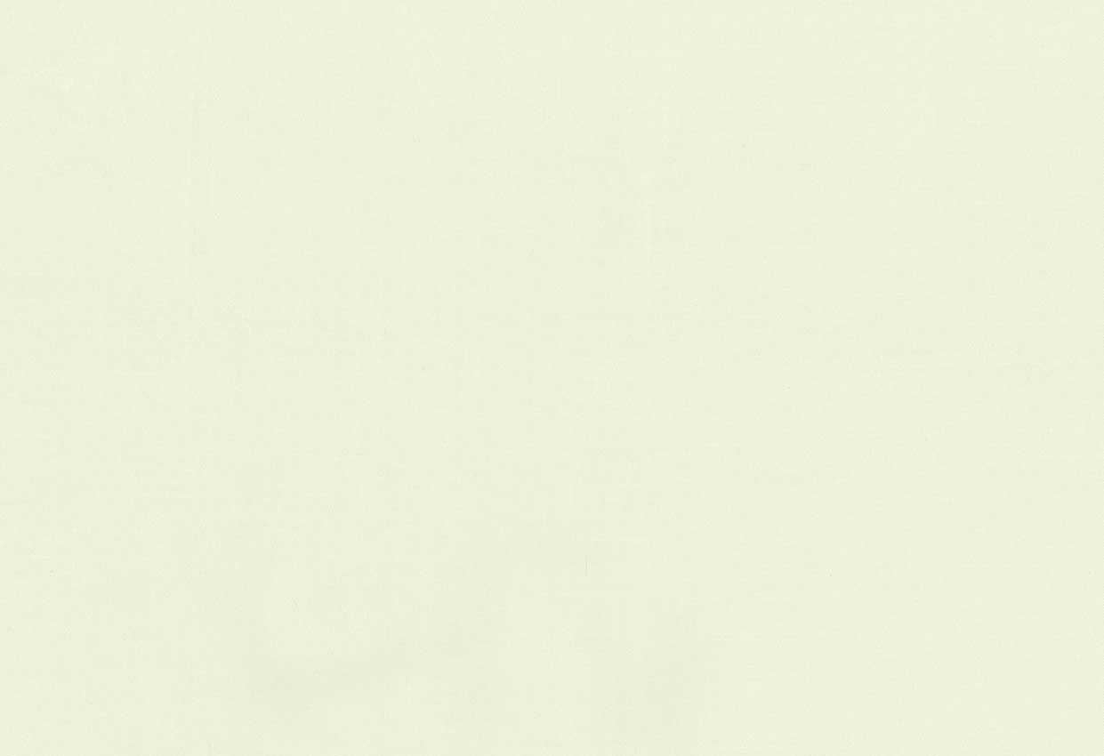 Picture of TEMUKA-MINT