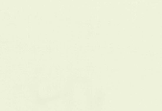 Picture of TEMUKA-MINT