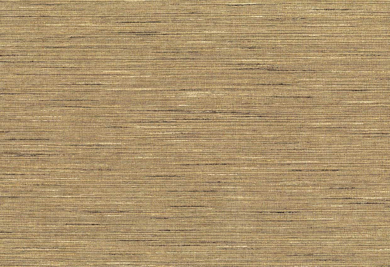 Picture of THAMES-NUTMEG