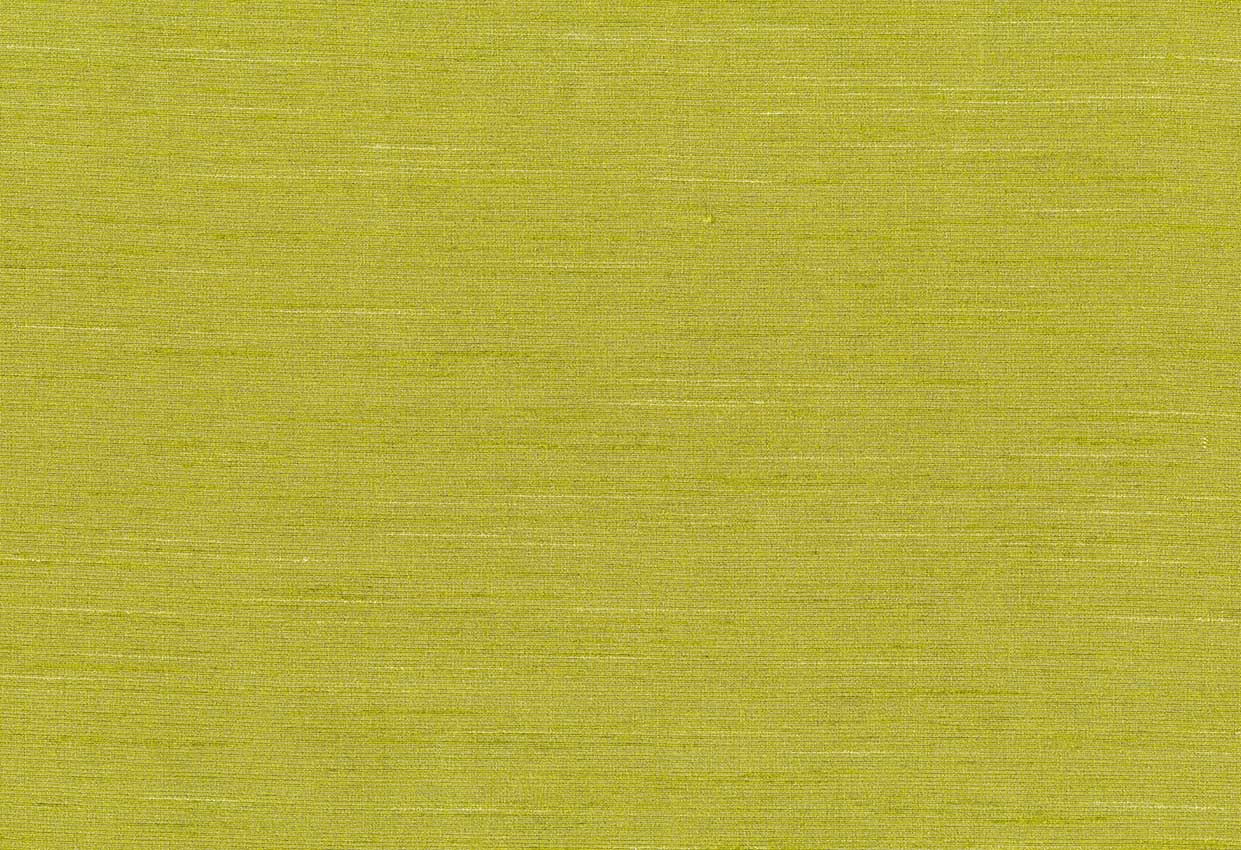 Picture of THAMES-OLIVE