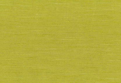 Picture of THAMES-OLIVE