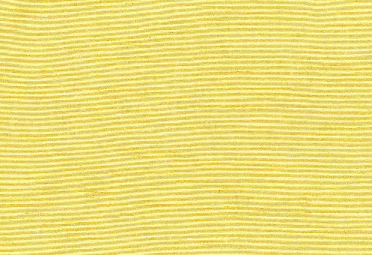 Picture of THAMES-TURMERIC