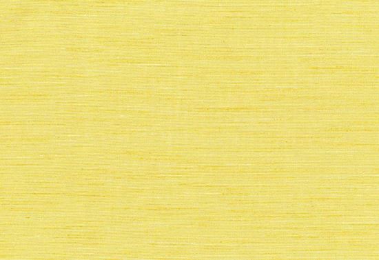 Picture of THAMES-TURMERIC