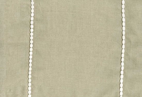 Picture of PISA-NATURAL