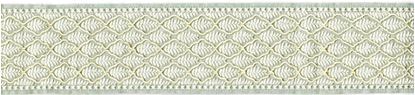 Picture of BIELLA EMB. TAPE-SAGE