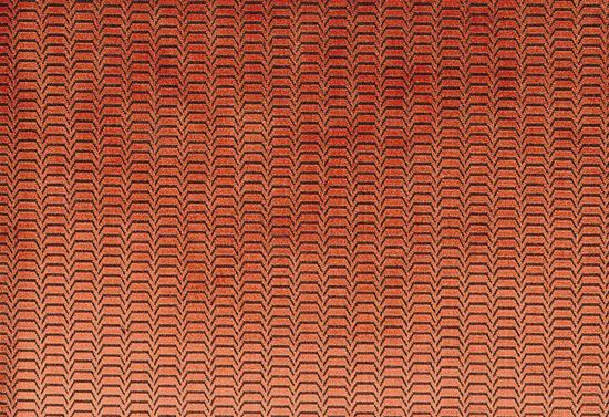 Picture of LOITA-SPICE