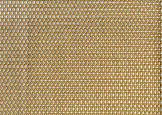 Picture of EDWARD-GOLDEN