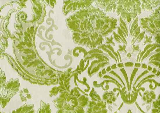 Picture of HANSI-SAGE